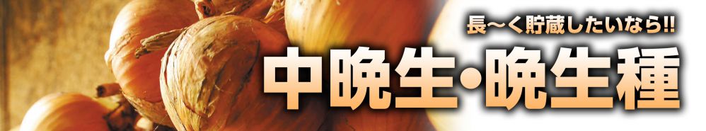 中晩生・晩生種