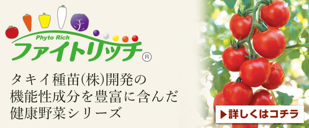ファイトリッチ