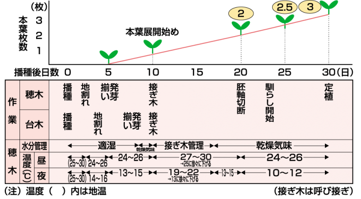 育苗管理