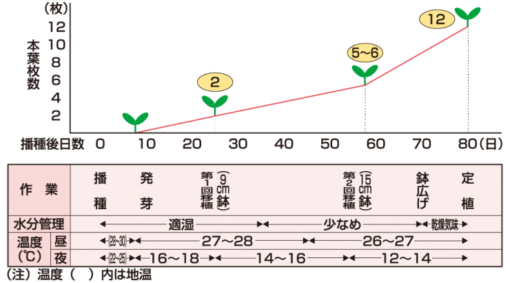 育苗管理