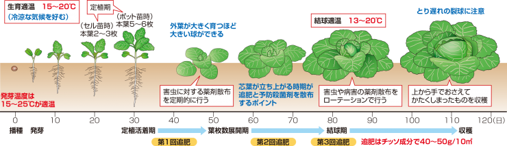 スケジュール