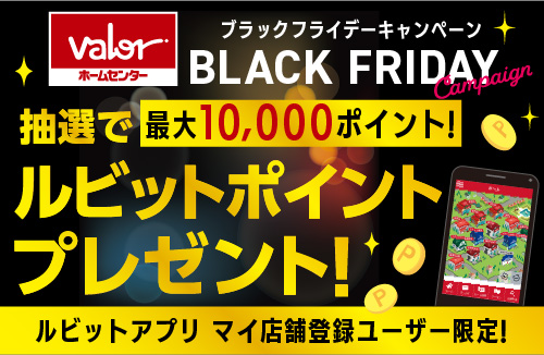 ブラックフライデーキャンペーン