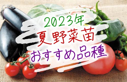 2023年夏野菜苗おすすめ品種