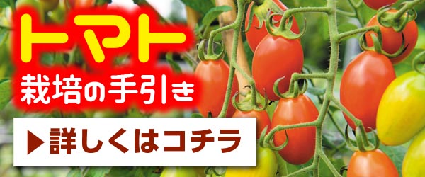 こだわり接木苗 ｜ valor-navi バローナビ