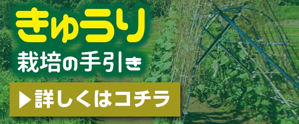 こだわり接木苗 ｜ valor-navi バローナビ