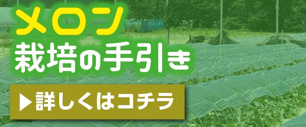 こだわり接木苗 ｜ valor-navi バローナビ