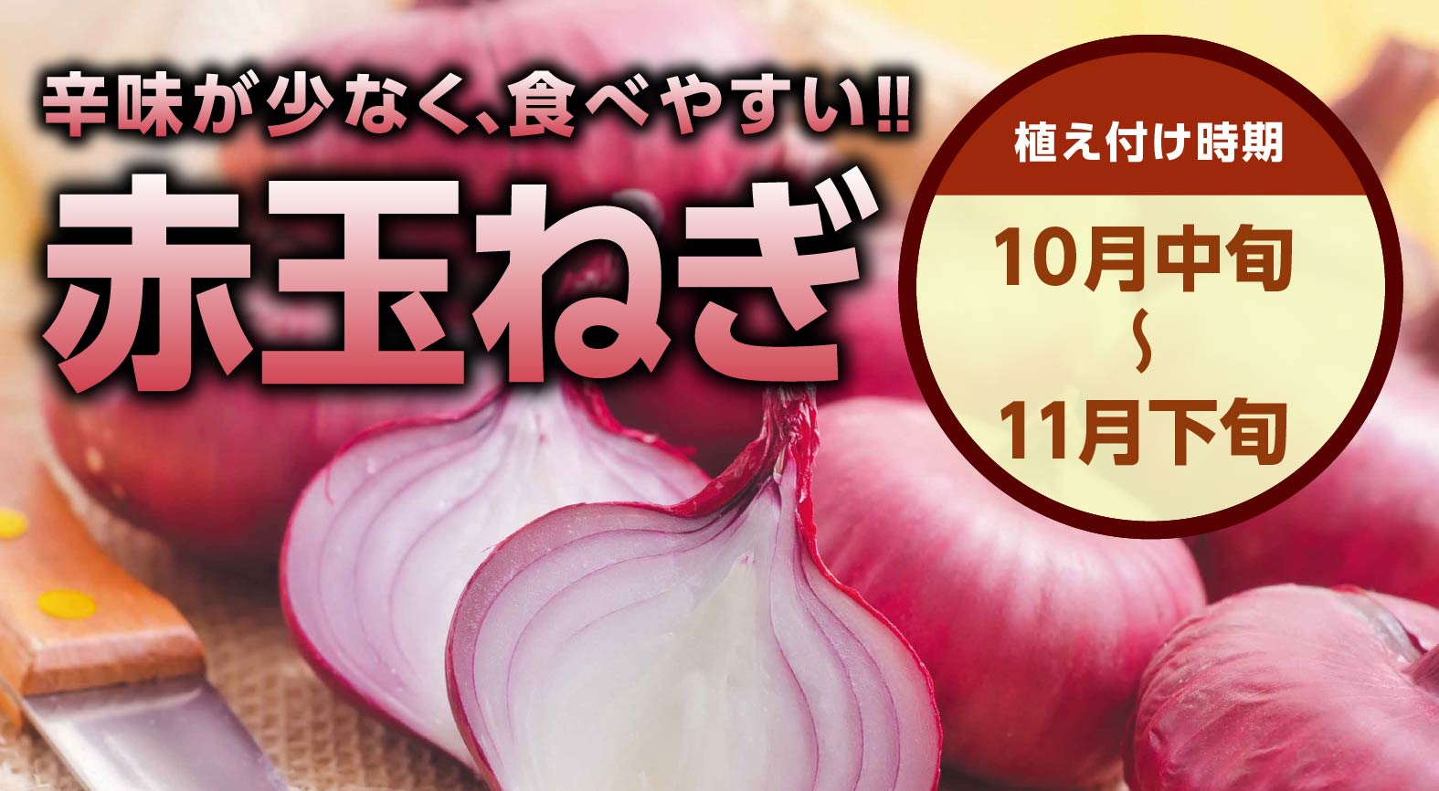 red-onion_thumb.jpg