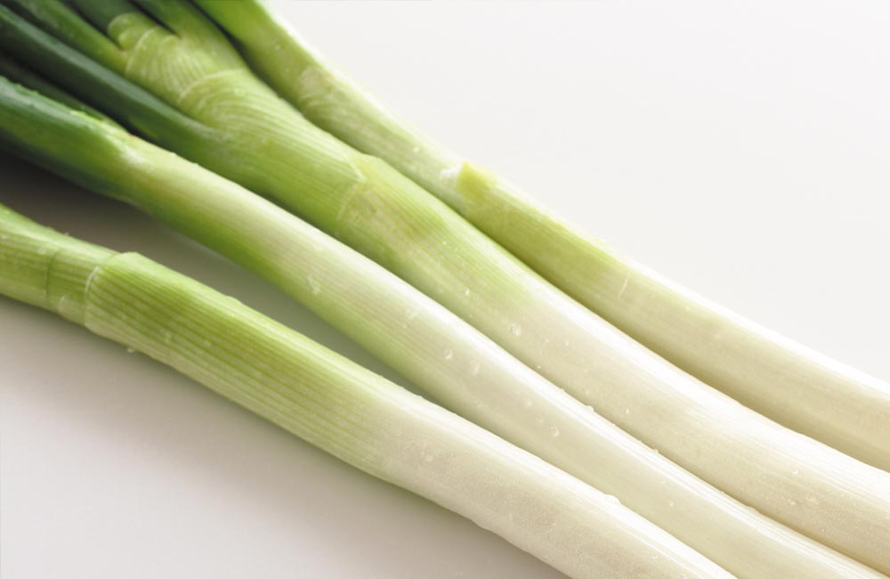 ネギを育ててみよう Valor Navi バローナビ