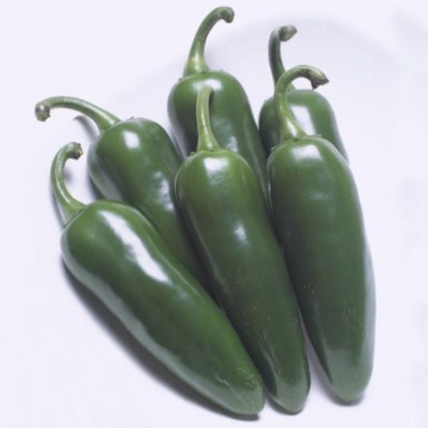 green-pepper01_pitarou.jpg