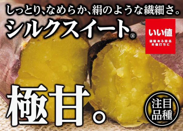 swpT05-シルクスイート.jpg