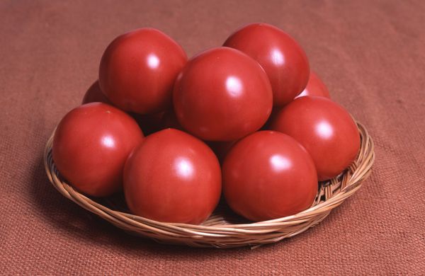 tomato-palt.jpg