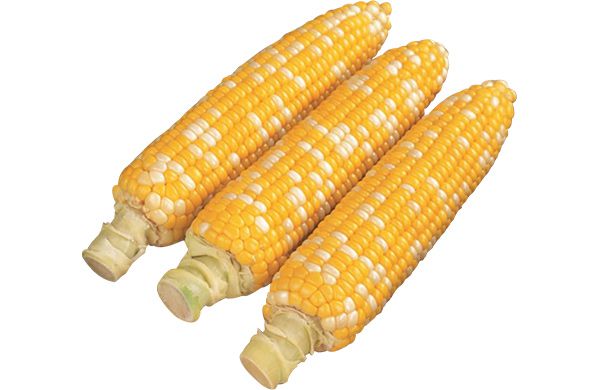 shiawase-corn.jpg