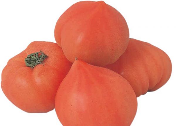 tomato_oh04ファースト.jpg