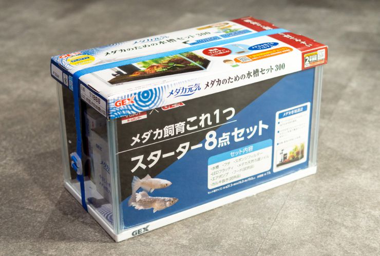 スターター8点セット