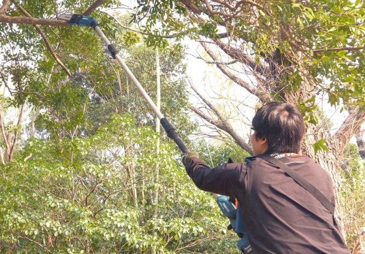 高い枝もカット