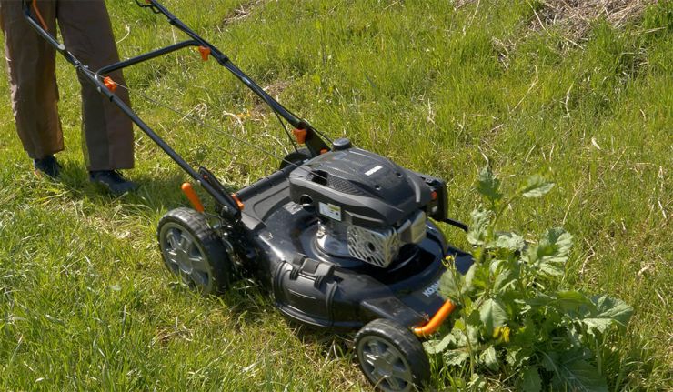 大きめの草でもラクラクカット