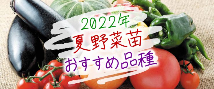 2022年夏野菜苗おすすめ品種