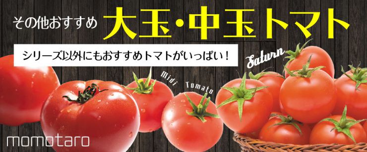 おすすめ大玉・中玉トマト