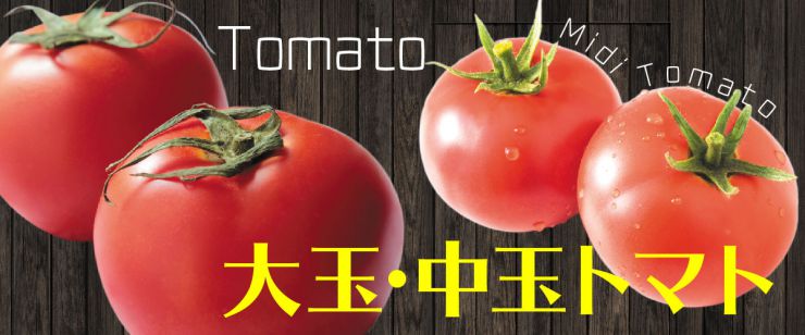 大玉中玉トマト
