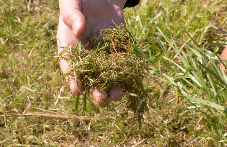 刈った草をスカート内で粉砕
