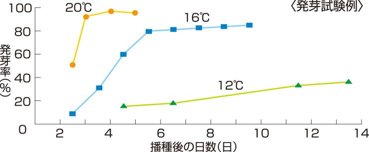 レタスの発芽グラフ