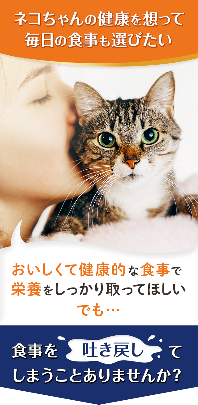 ネコちゃんの健康を想って毎日の食事も選びたい