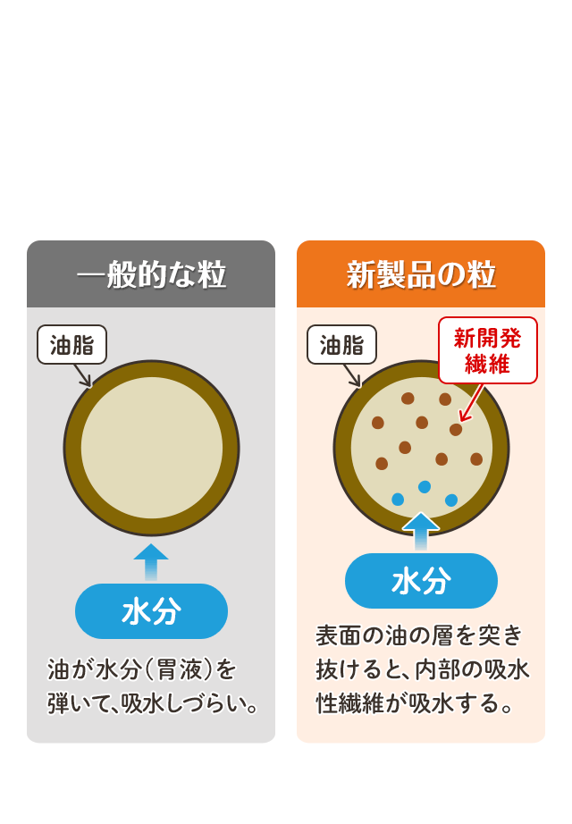 【一般的な粒】油が水分(胃液)を弾いて、吸水しづらい。 【新製品の粒】表面の油の層を突き抜けると、内部の吸水性繊維が吸水する。