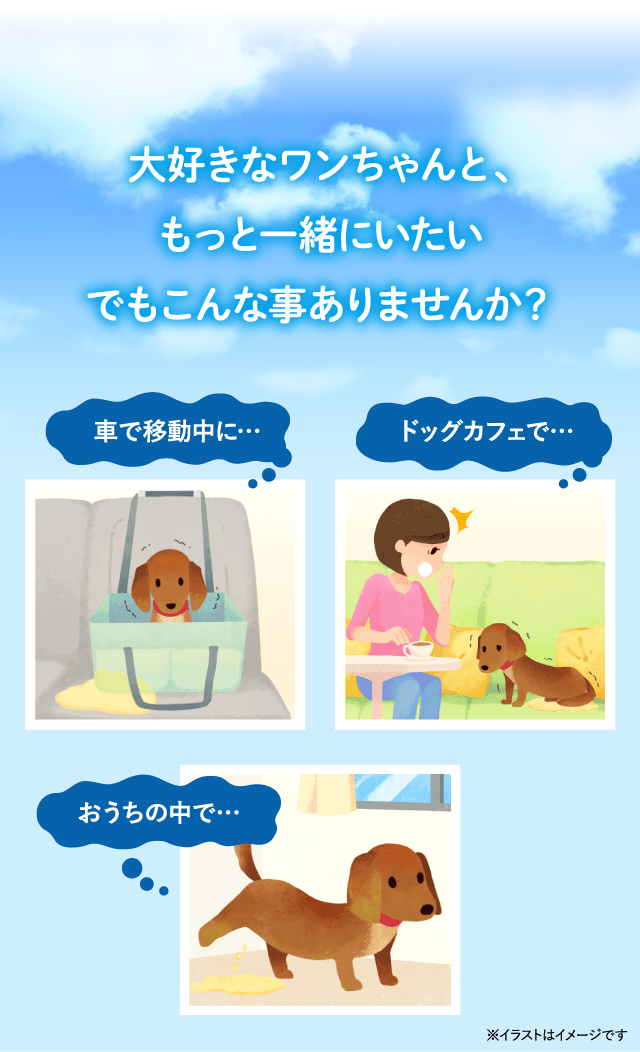 大好きなワンちゃんと、もっと一緒にいたい でもこんな事ありませんか？ 車で移動中に… ドッグカフェで… おうちの中で…