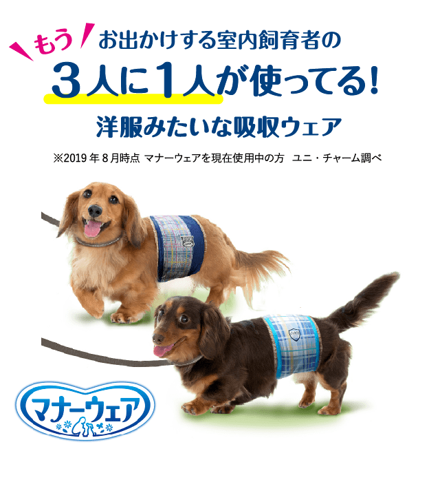 もうお出かけする室内飼育者の3人に1人が使ってる！洋服みたいな吸収ウェア マナーウェア