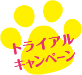 トライアルキャンペーン