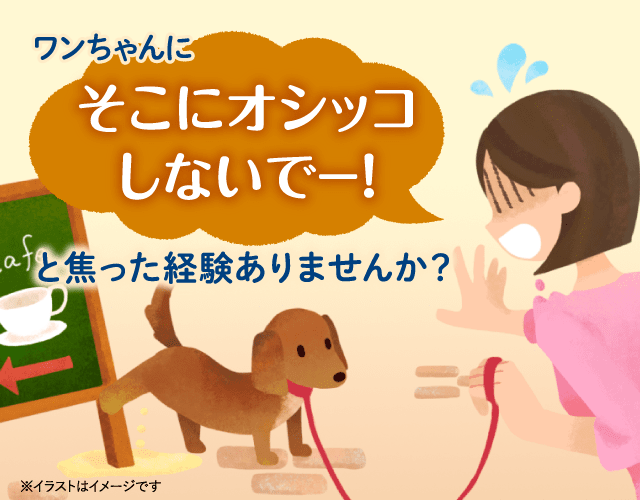 ワンちゃんにそこにオシッコしないでー！と焦った経験ありませんか？