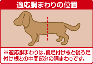 適応胴まわりの位置