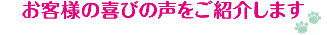 お客様の喜びの声をご紹介します